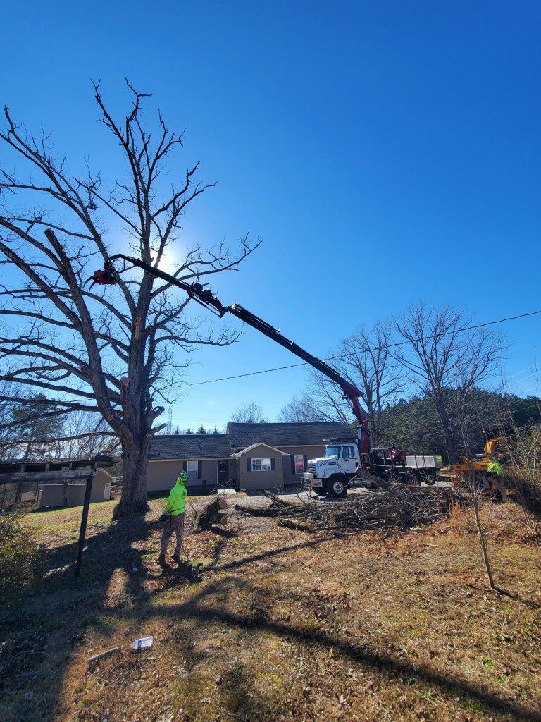 NEW BIK TREE-CARE SERIES TC-98/104 ON NEW FREIGHTLINER WITH ALUM. DUMP - Image 7