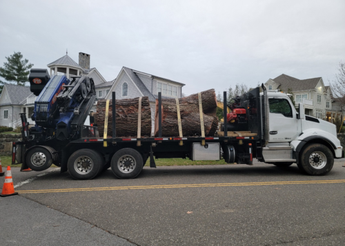 Used 2019 BIK Tree-Care Series TC-106 On Used Kenworth T880
