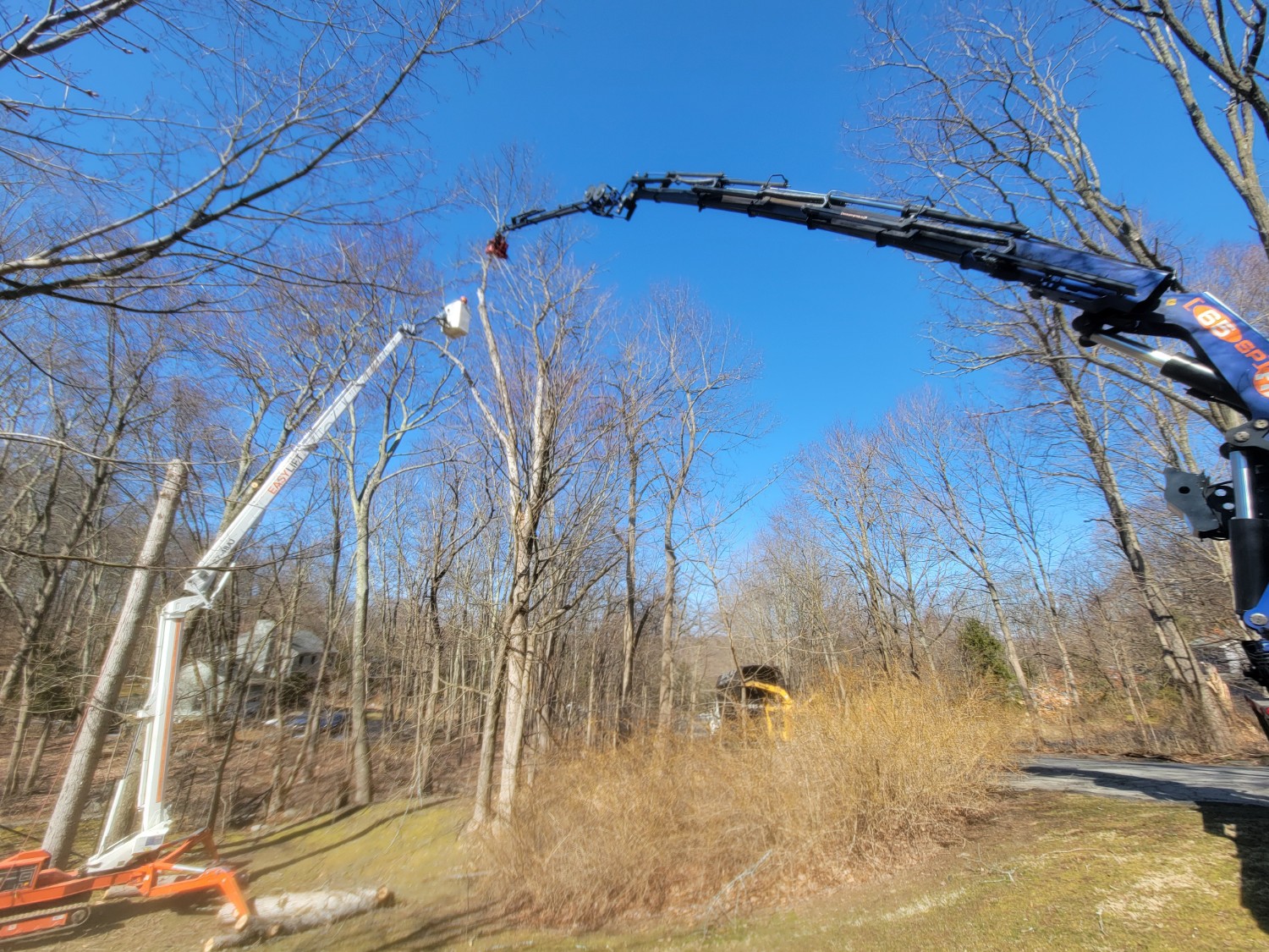 Used 2019 BIK Tree-Care Series TC-106 On Used Kenworth T880 - Image 7