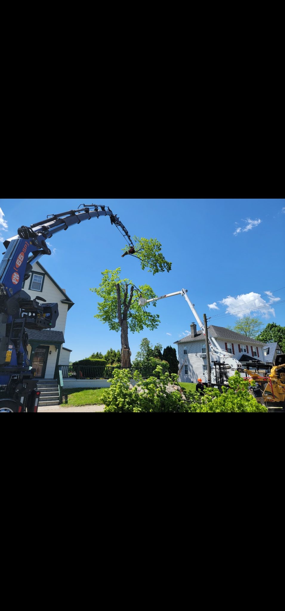 Used 2019 BIK Tree-Care Series TC-106 On Used Kenworth T880 - Image 9