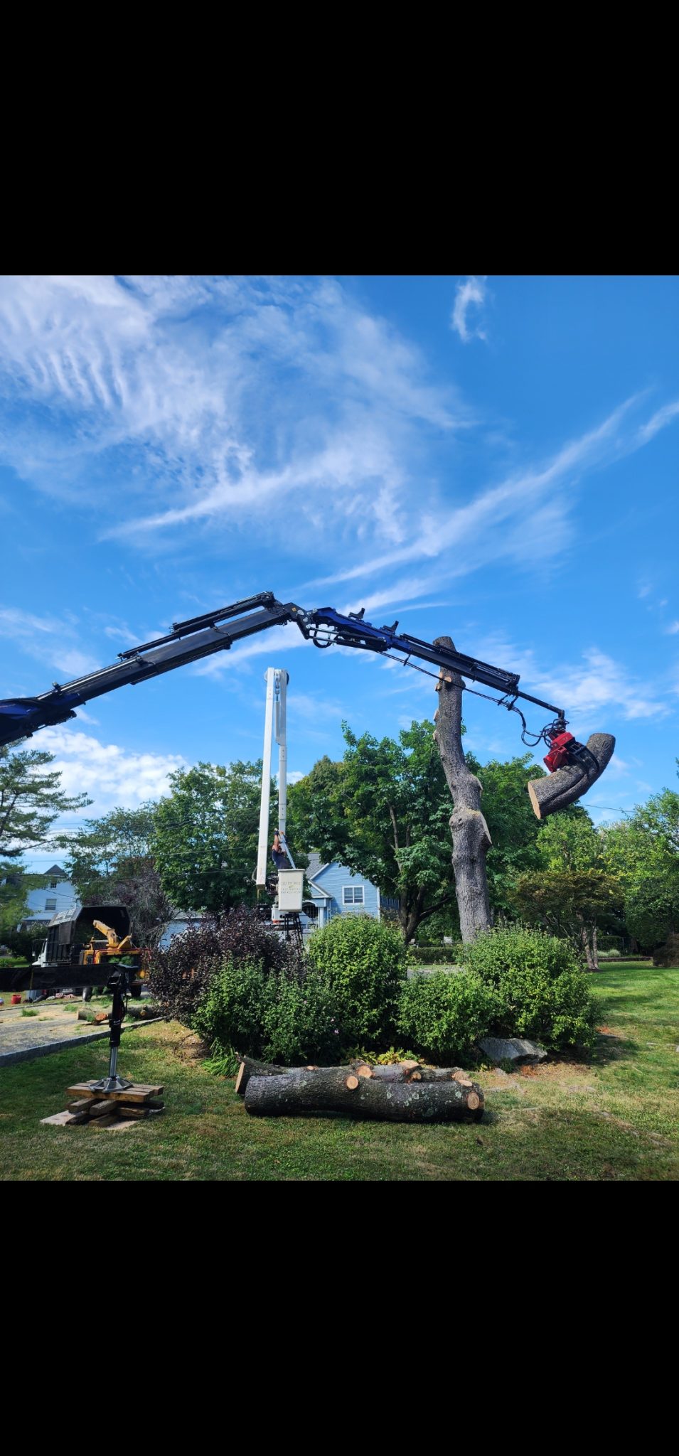 Used 2019 BIK Tree-Care Series TC-106 On Used Kenworth T880 - Image 12